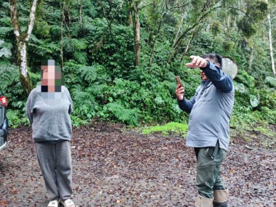 查緝到4名竊取森林副產物牛樟芝的山老鼠，為首的是一名女性山老鼠。